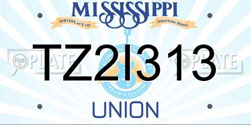 TZ2I313 Mississippi License Plate