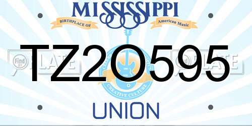 TZ2O595 Mississippi License Plate