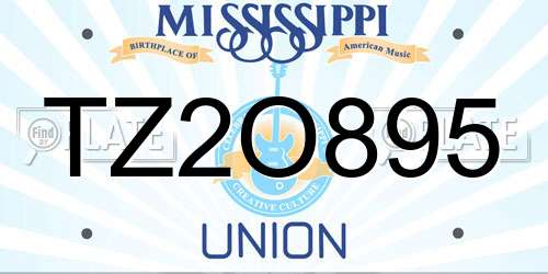 TZ2O895 Mississippi License Plate