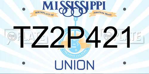 TZ2P421 Mississippi License Plate