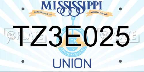 TZ3E025 Mississippi License Plate