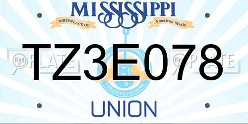 TZ3E078 Mississippi License Plate