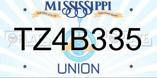 TZ4B335 Mississippi License Plate