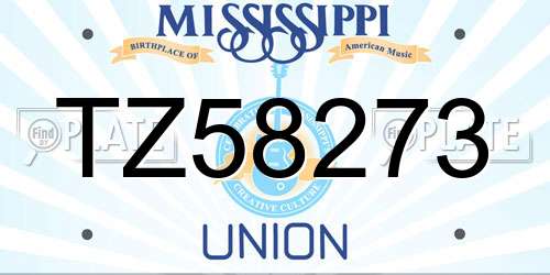 TZ58273 Mississippi License Plate