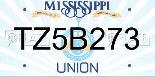 TZ5B273 Mississippi License Plate