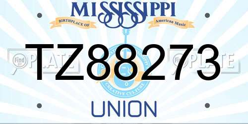 TZ88273 Mississippi License Plate