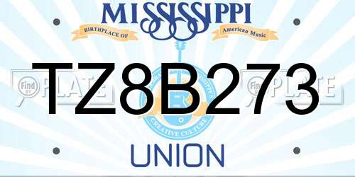 TZ8B273 Mississippi License Plate