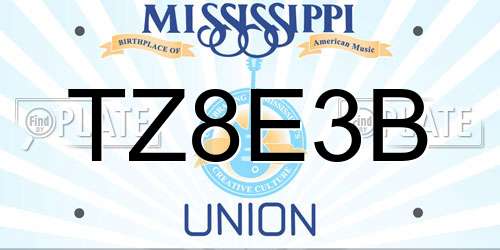 TZ8E3B Mississippi License Plate