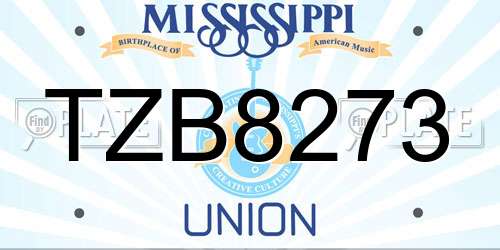 TZB8273 Mississippi License Plate