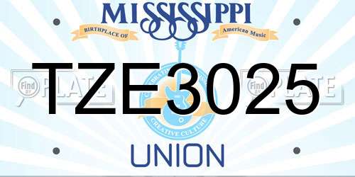TZE3025 Mississippi License Plate