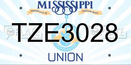 TZE3028 Mississippi License Plate