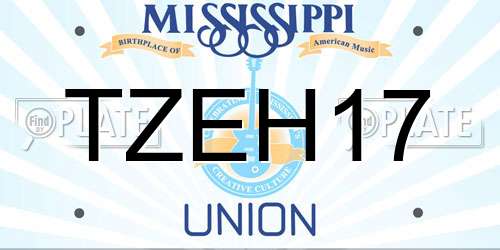 TZEH17 Mississippi License Plate