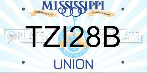 TZI28B Mississippi License Plate