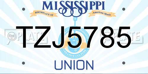 TZJ5785 Mississippi License Plate