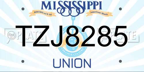 TZJ8285 Mississippi License Plate