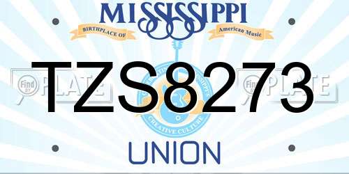 TZS8273 Mississippi License Plate
