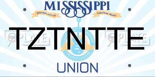 TZTNTTE Mississippi License Plate