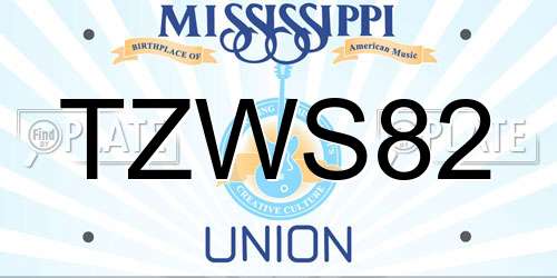 TZWS82 Mississippi License Plate