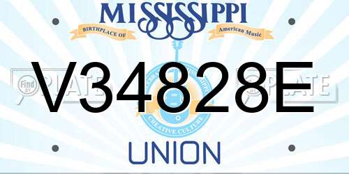 V34828E Mississippi License Plate
