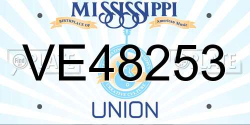 VE48253 Mississippi License Plate