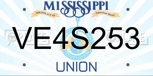 VE4S253 Mississippi License Plate