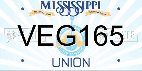 VEG165 Mississippi License Plate