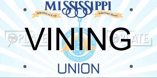 VINING Mississippi License Plate