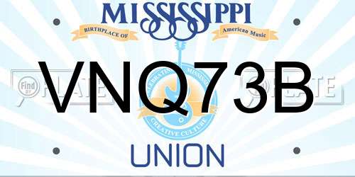 VNQ73B Mississippi License Plate