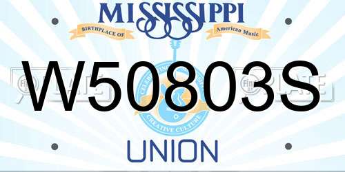 W50803S Mississippi License Plate