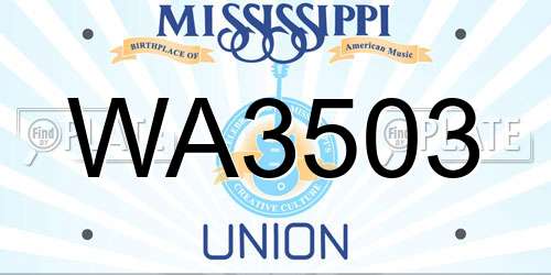 WA3503 Mississippi License Plate