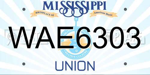 WAE6303 Mississippi License Plate