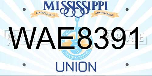 WAE8391 Mississippi License Plate