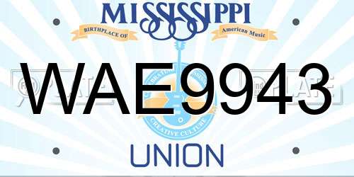 WAE9943 Mississippi License Plate