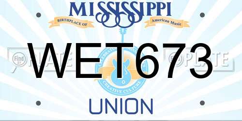 WET673 Mississippi License Plate