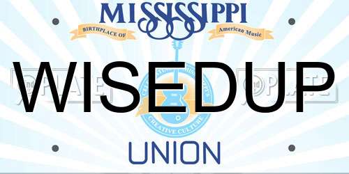 WISEDUP Mississippi License Plate