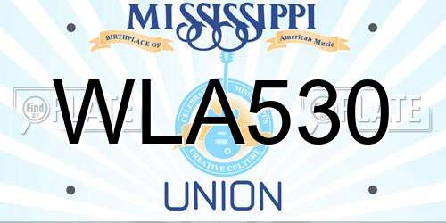 WLA530 Mississippi License Plate