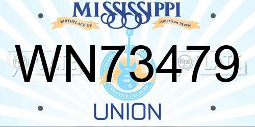 WN73479 Mississippi License Plate