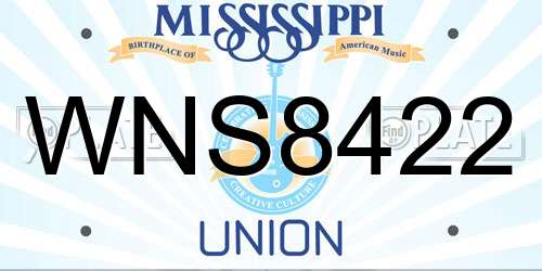WNS8422 Mississippi License Plate