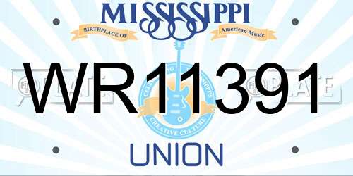 WR11391 Mississippi License Plate