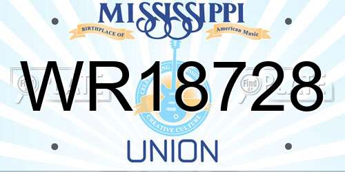 WR18728 Mississippi License Plate