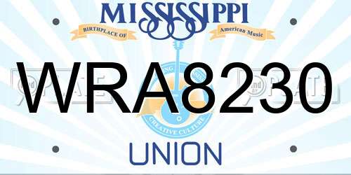 WRA8230 Mississippi License Plate