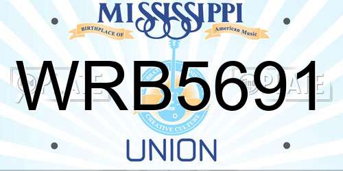 WRB5691 Mississippi License Plate