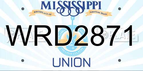 WRD2871 Mississippi License Plate