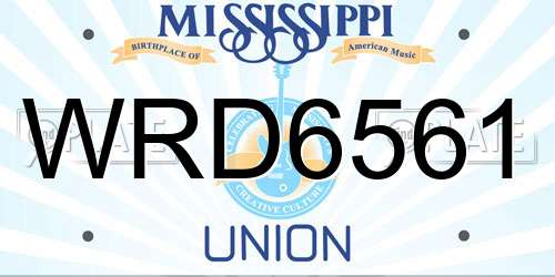 WRD6561 Mississippi License Plate