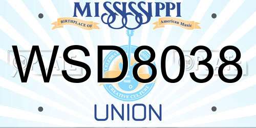 WSD8038 Mississippi License Plate