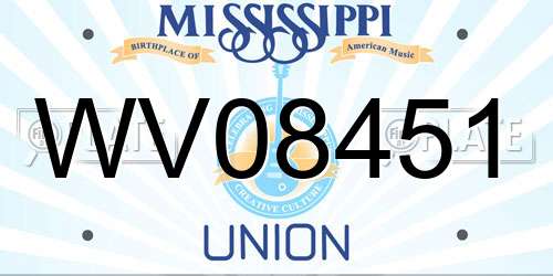 WV08451 Mississippi License Plate