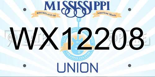 WX12208 Mississippi License Plate
