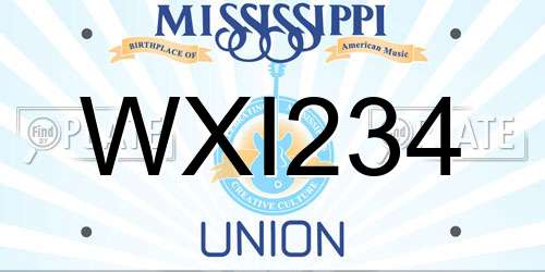 WXI234 Mississippi License Plate