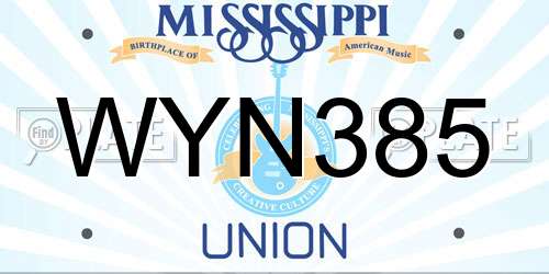 WYN385 Mississippi License Plate