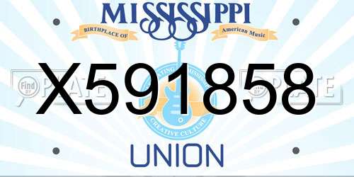 X591858 Mississippi License Plate